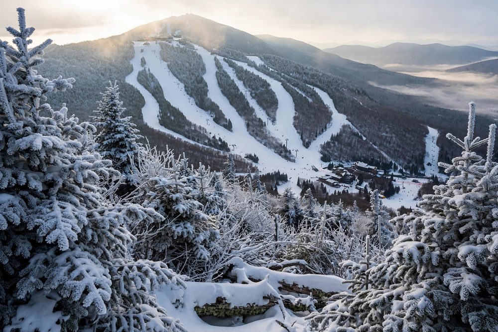 Sugarbush