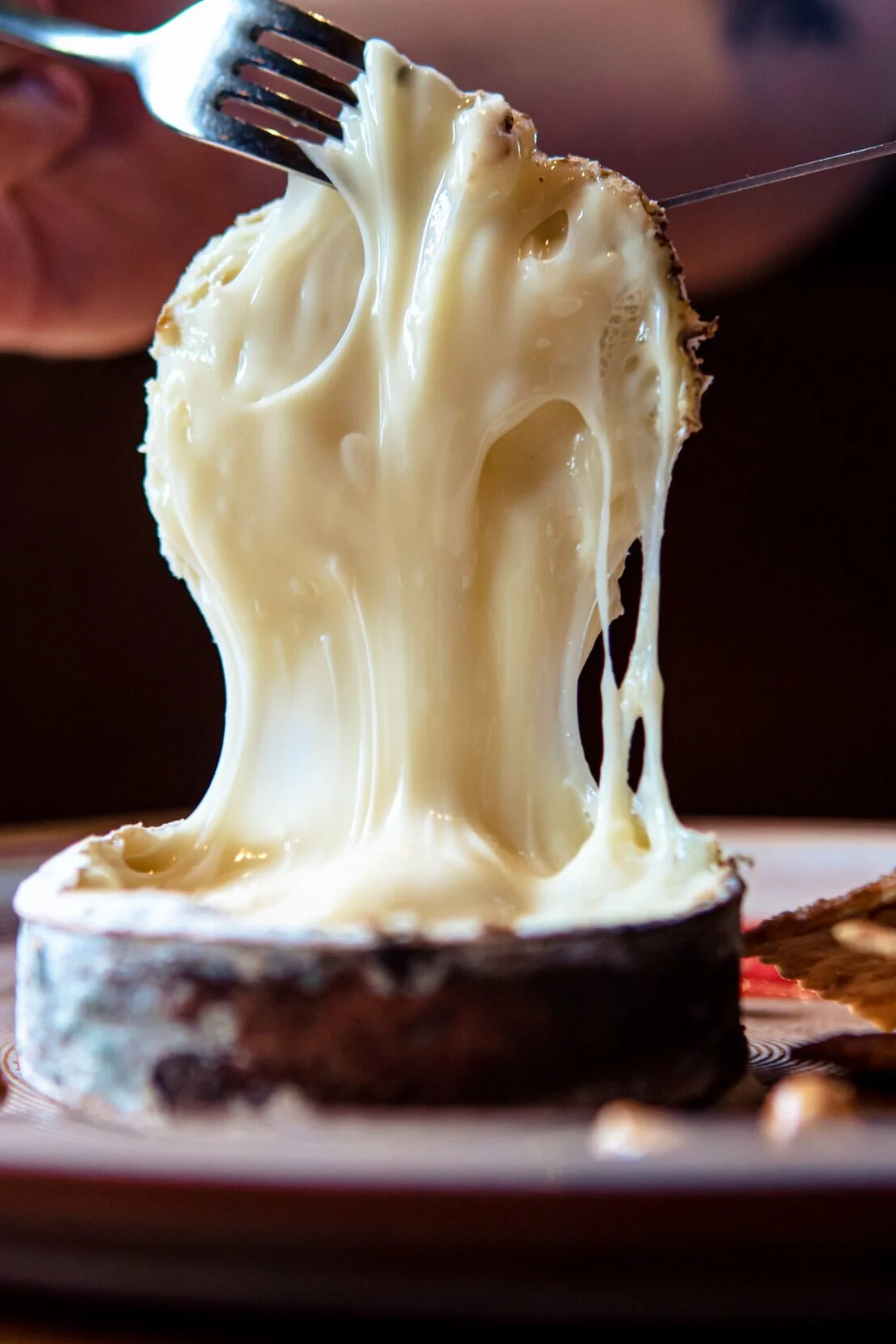 Hen of the Wood Burlington: Vermont Farm-to-Table at Its Benchmark