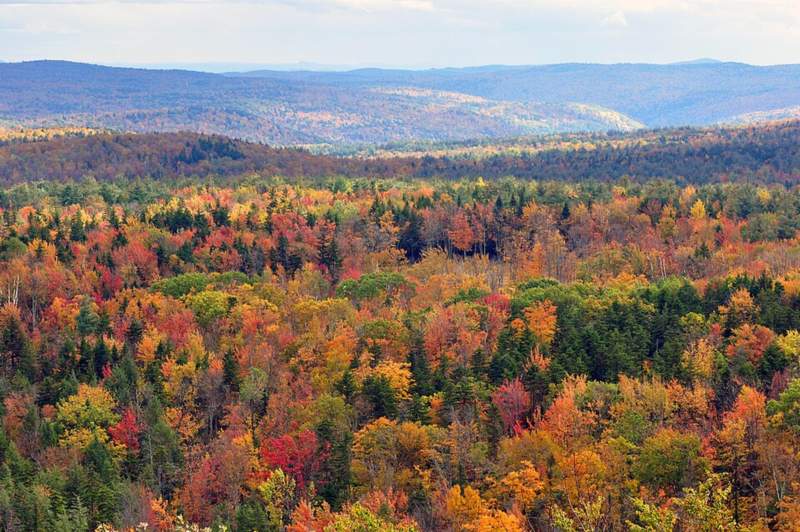 Last Call for Peak Color: Rutland and Windham Counties