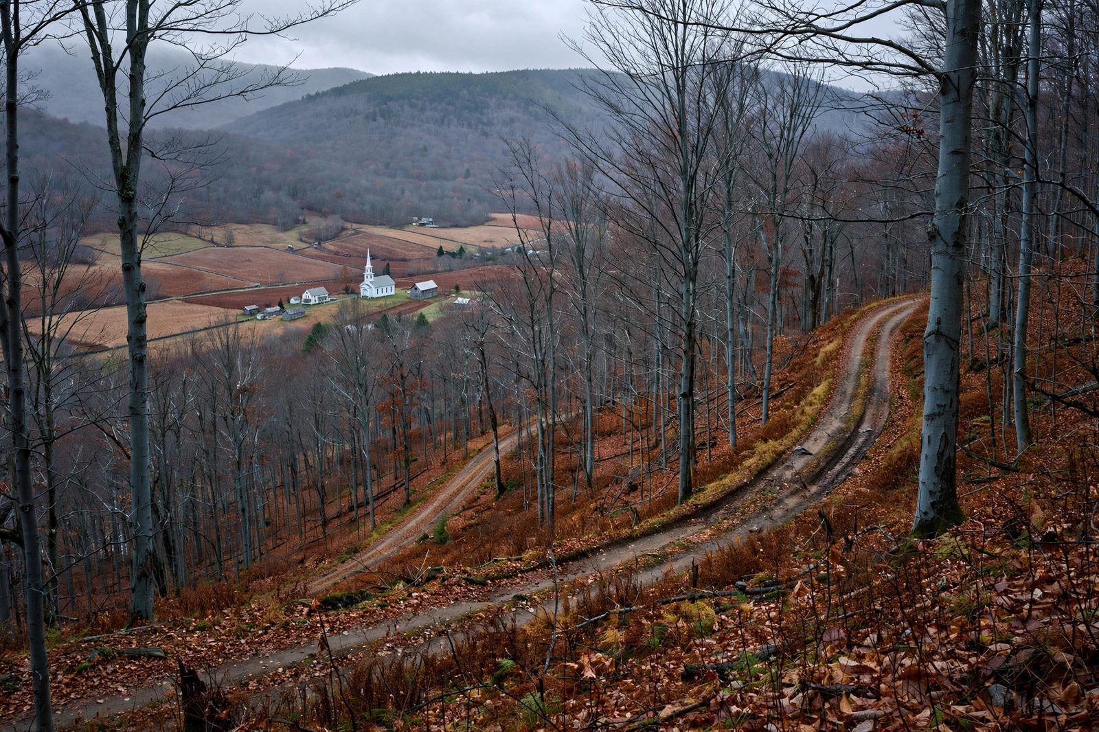 Stick Season: Vermont's Quietest Weeks