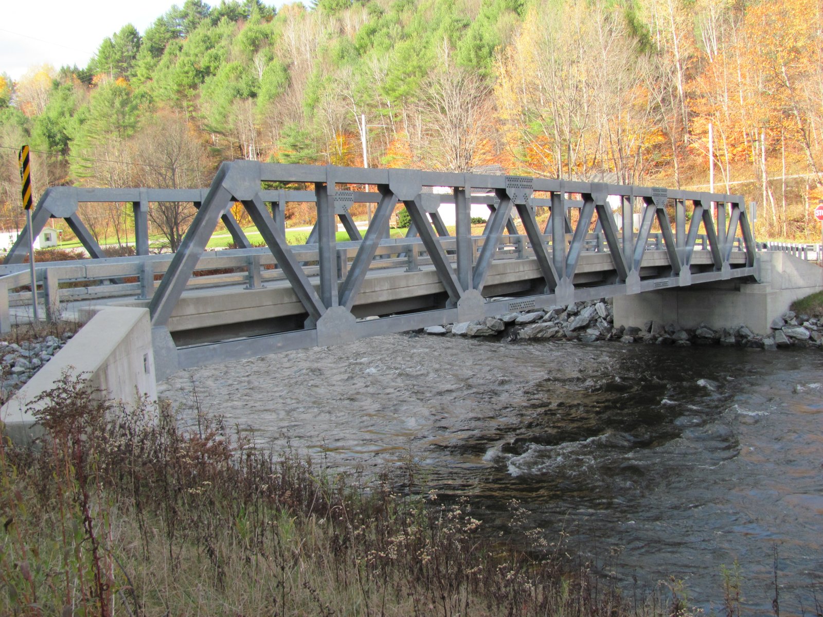 The Black River flowing under Howard Hill Bridge in Cavendish - don't skip the deep water under the bridge itself.