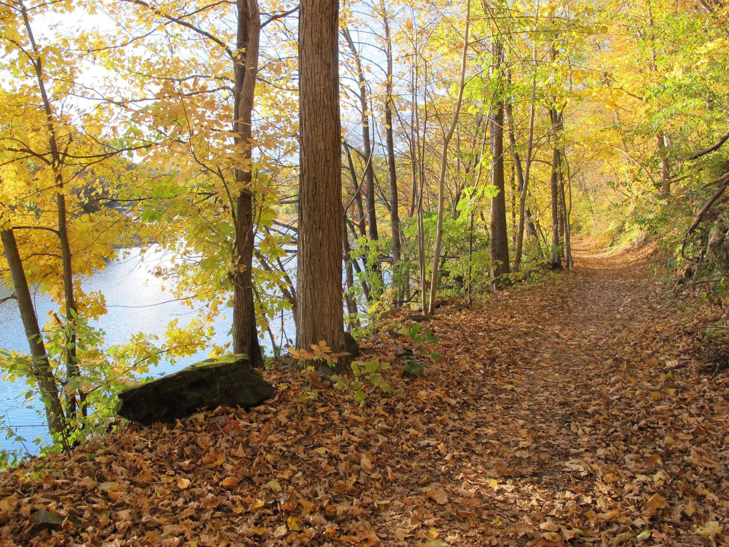 West River Trail