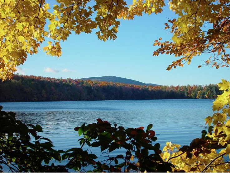Mount Holly Community Association