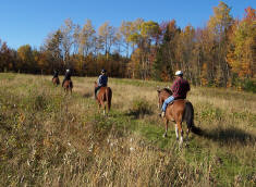 D-N-D Stables Guided Trail Rides