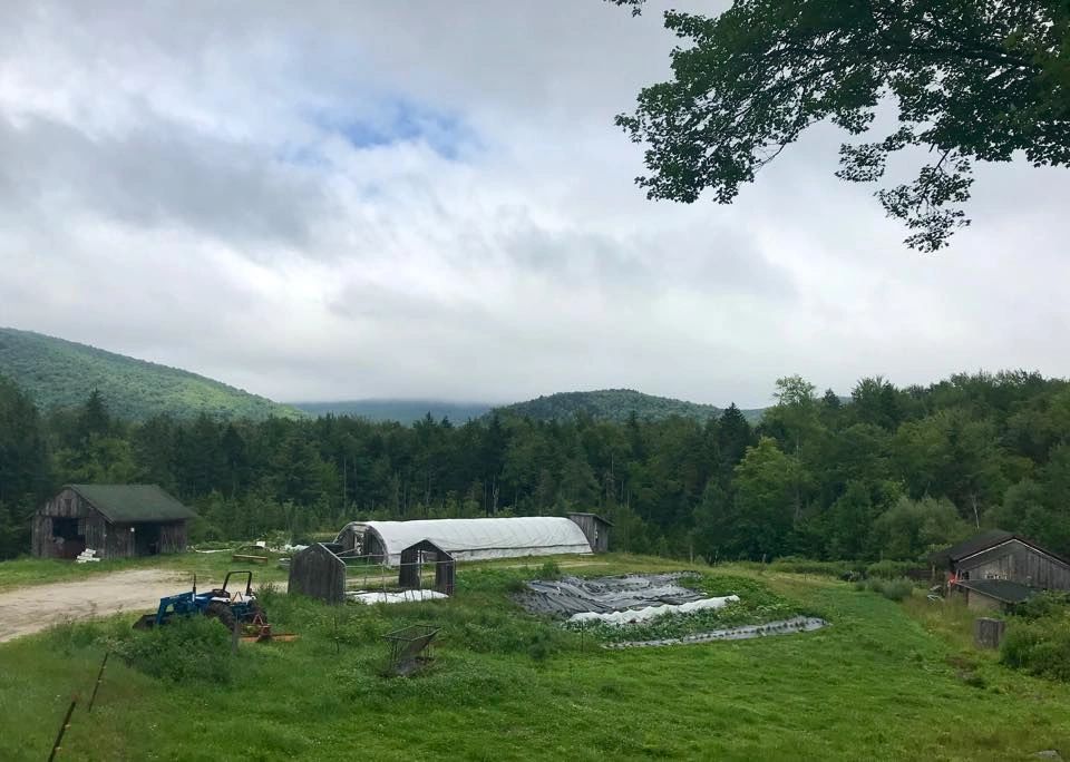 Hinterland Farm