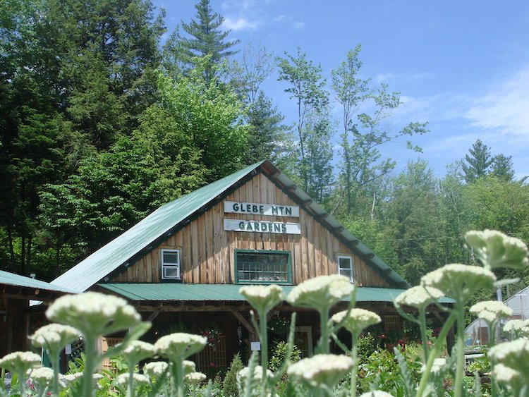Glebe Mountain Gardens & Landscaping