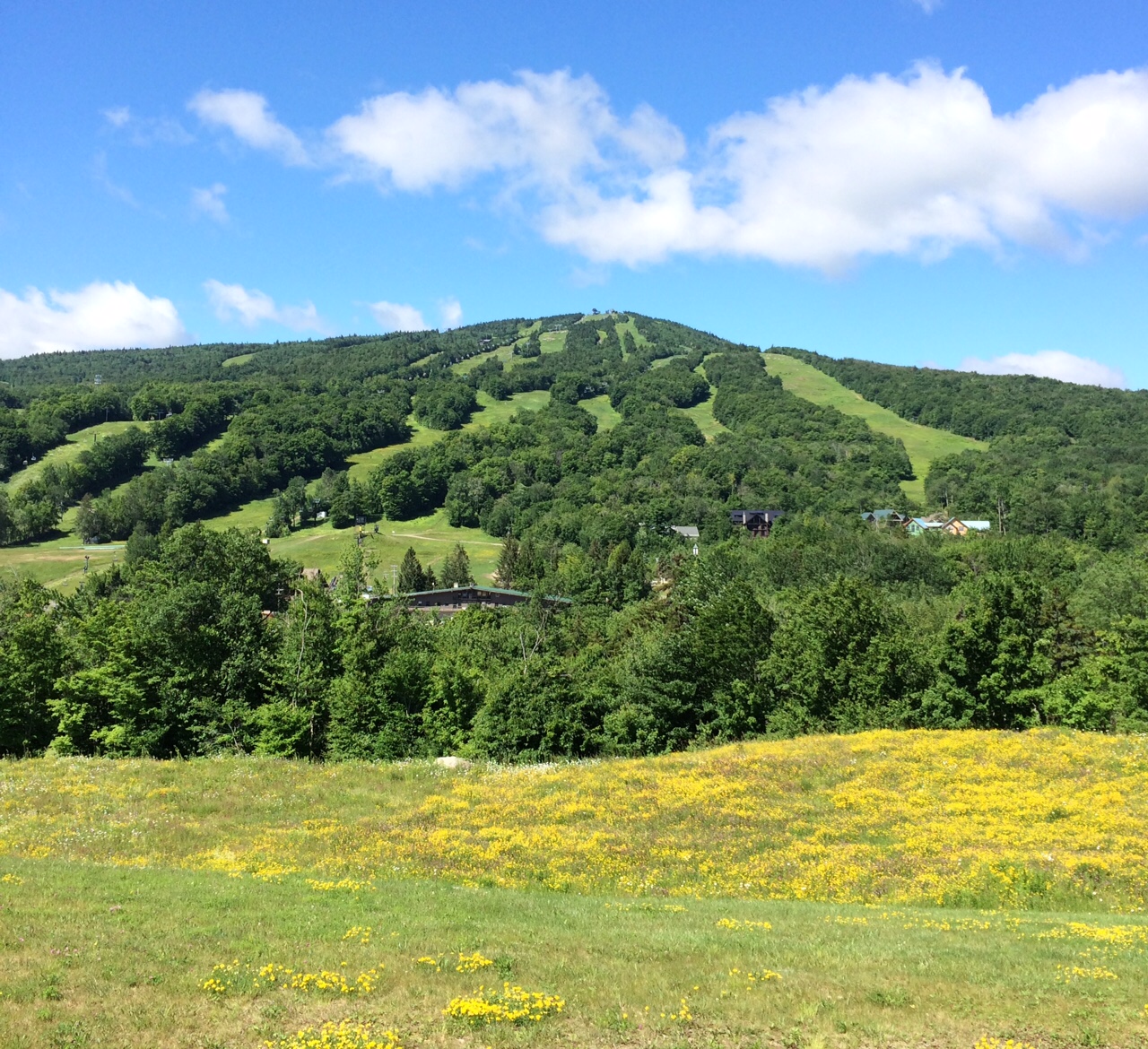 Link Trail (Mount Snow)