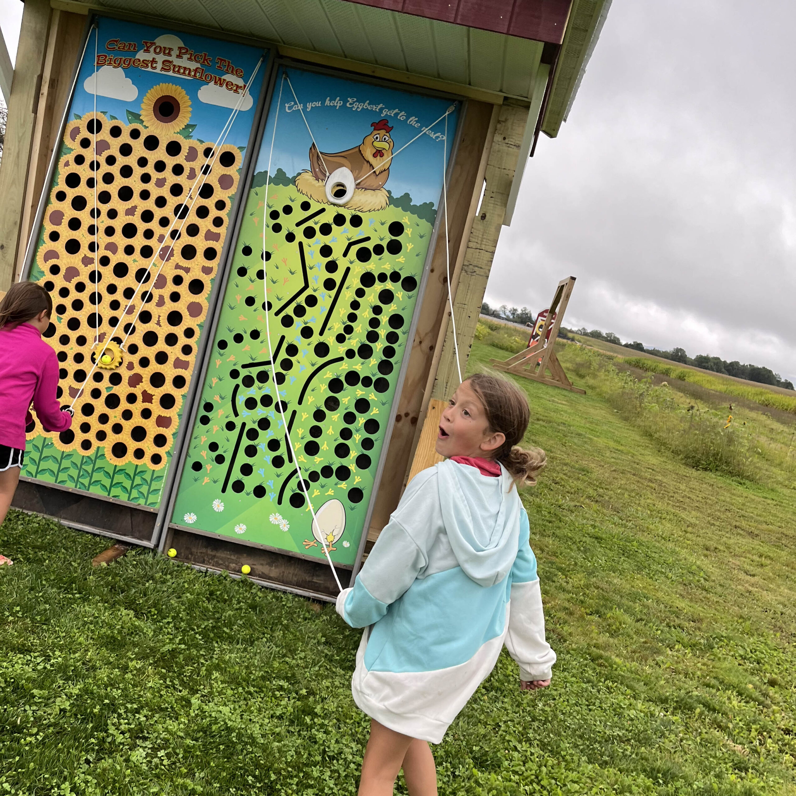 Kingdom Corn Maze & Pumpkin Patch at Simpson Farm