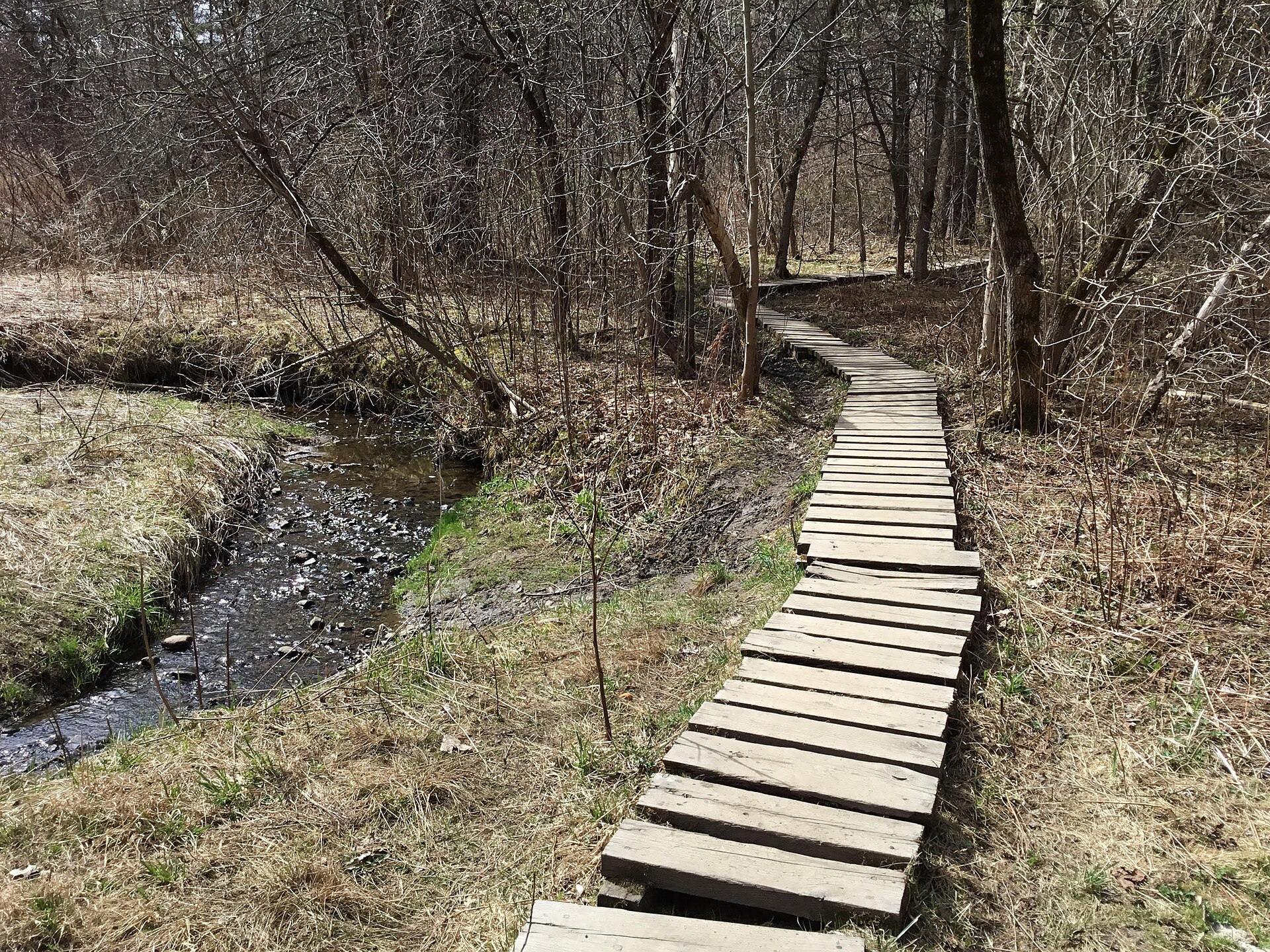 Centennial Woods Trails