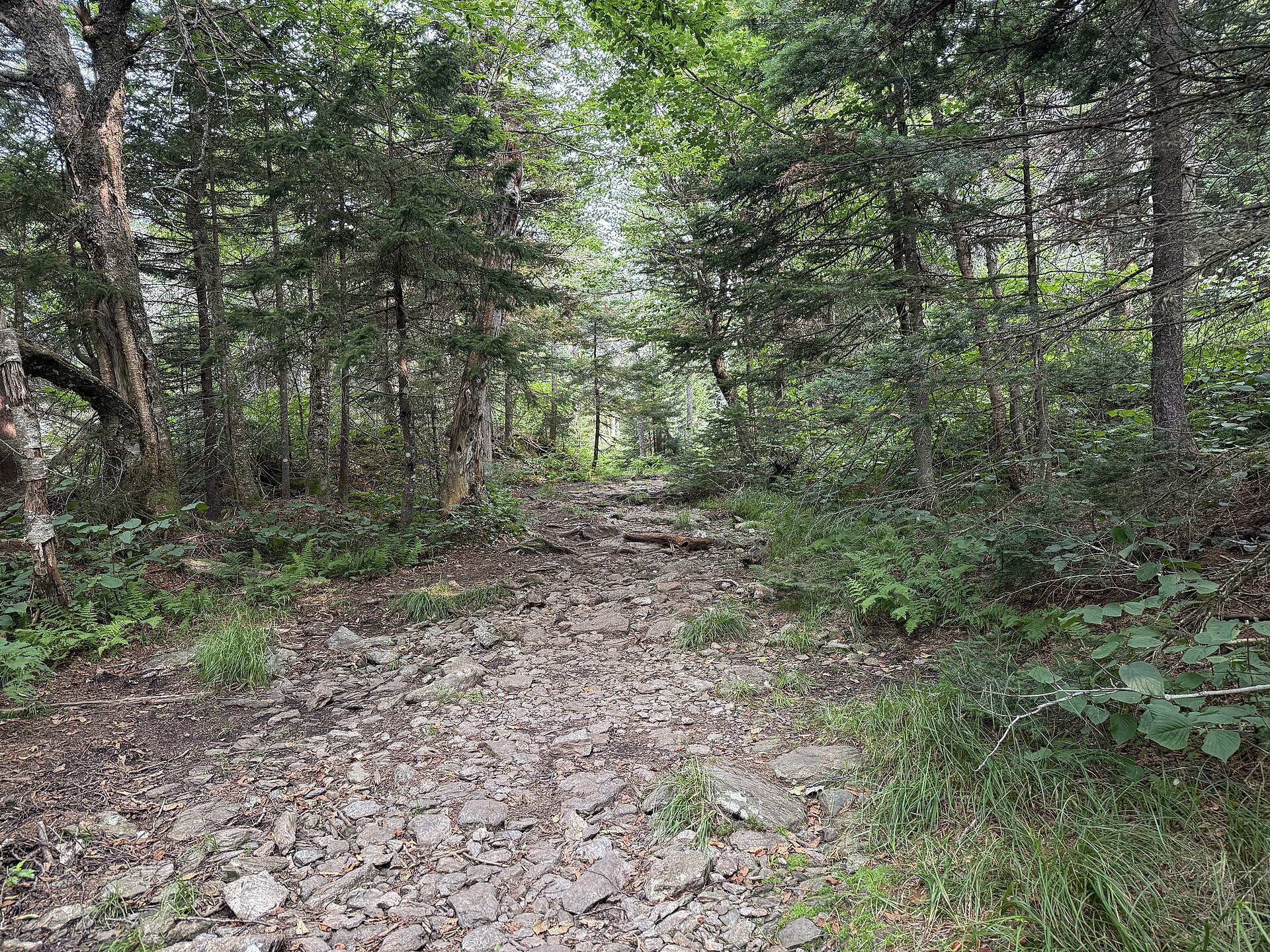 Haystack Mountain Trail