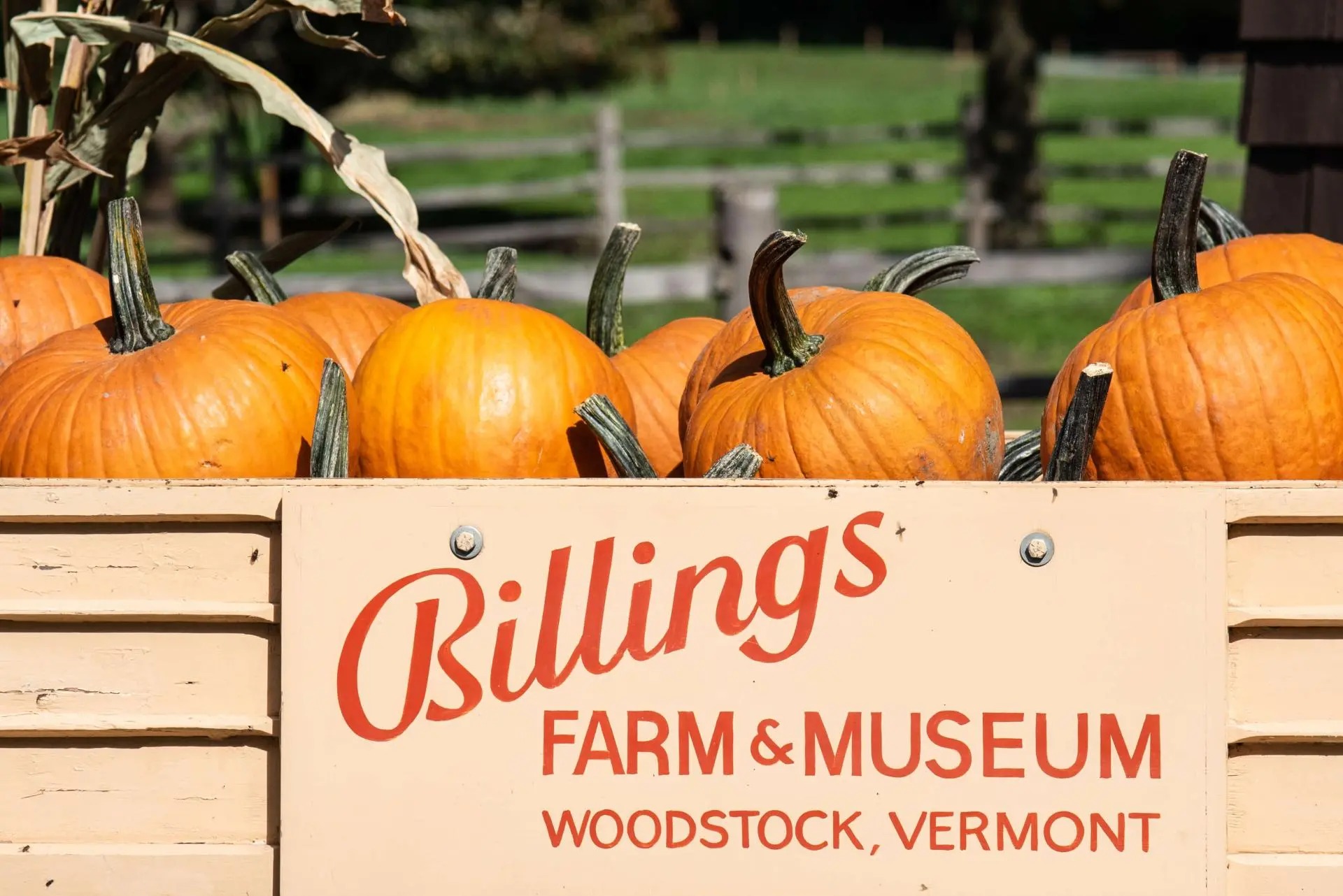 Billings Farm & Museum