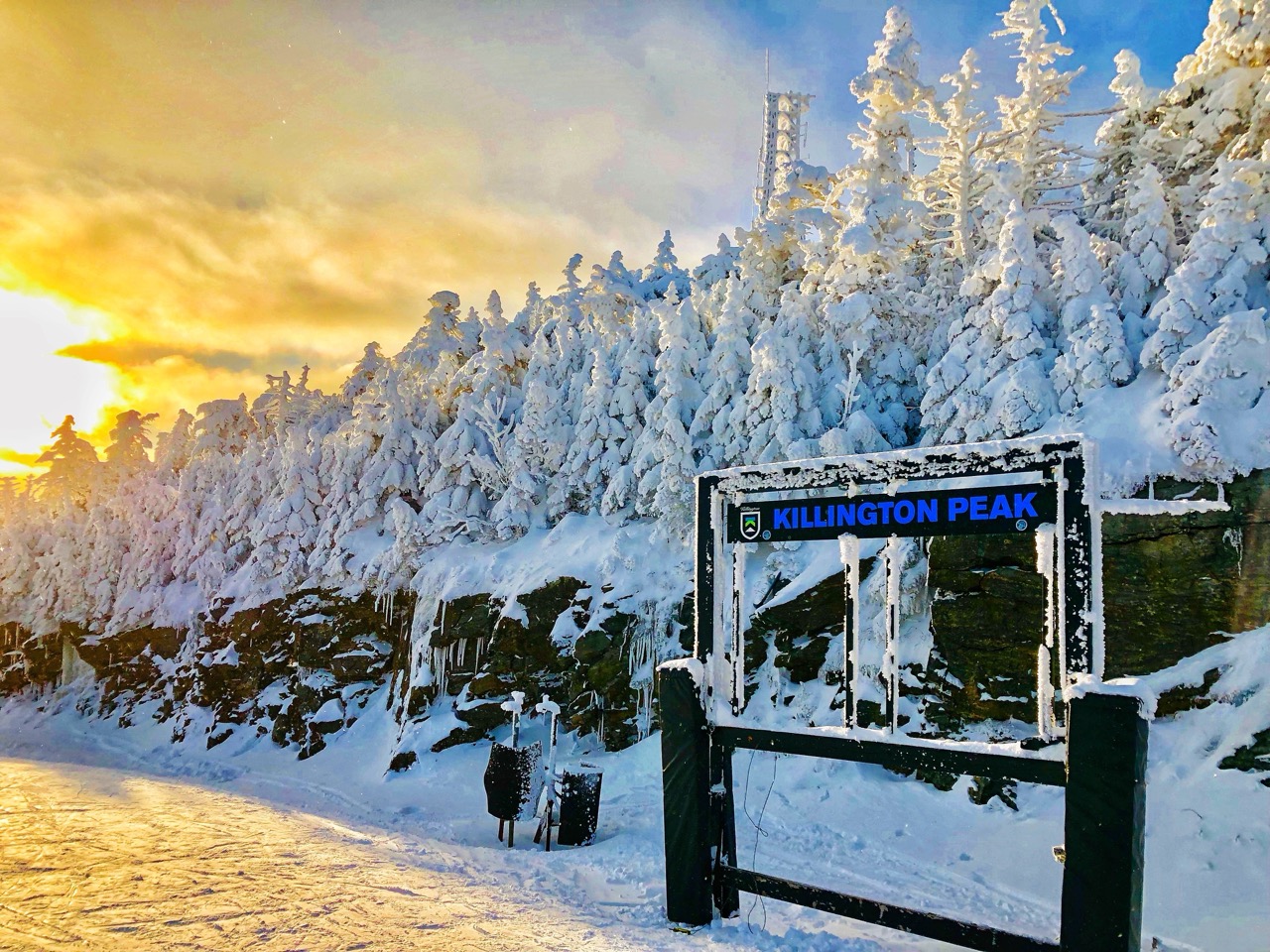 Forerunner Ski Shop