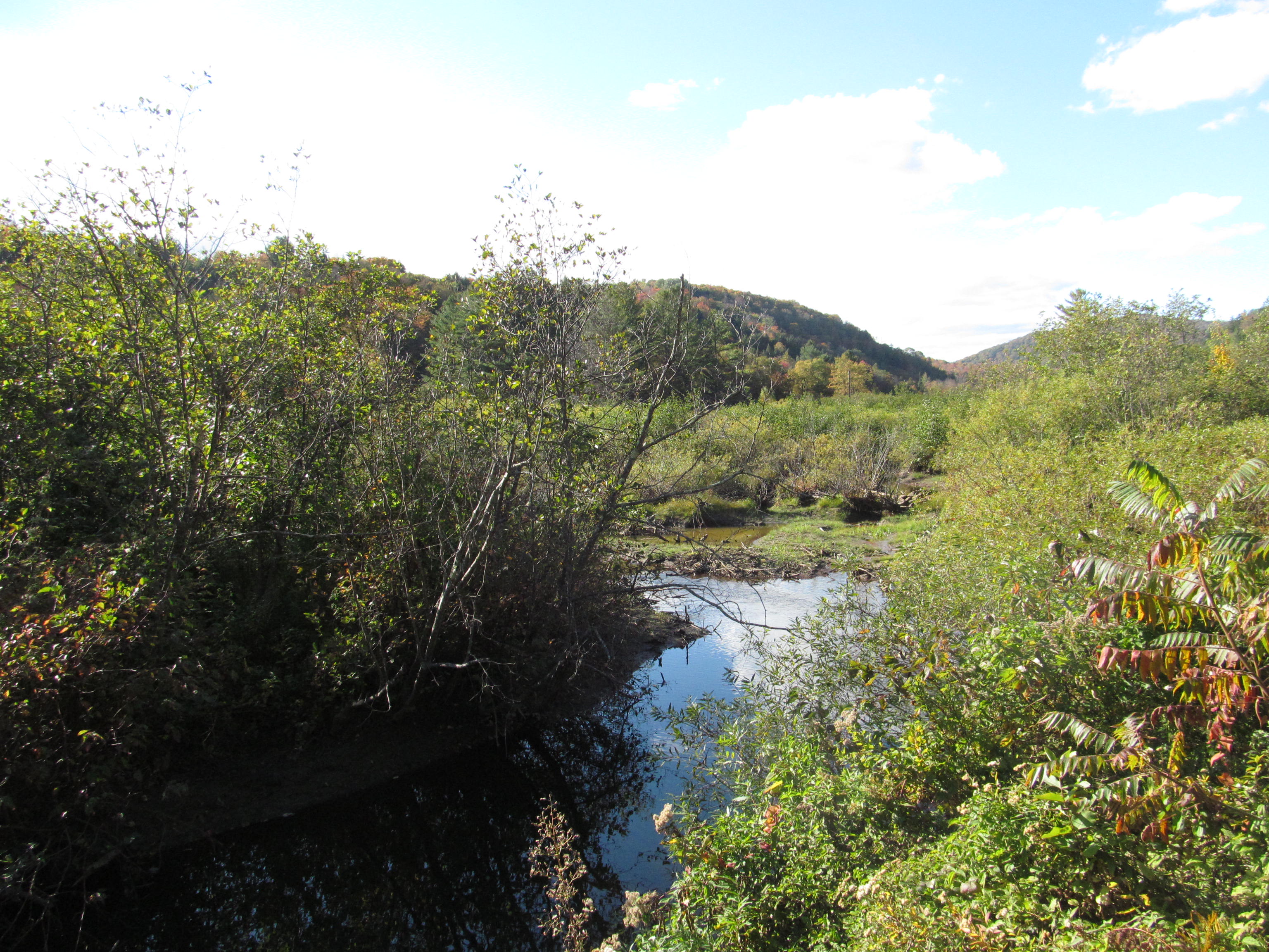Thundering Falls via Appalachian Trail (Killington)