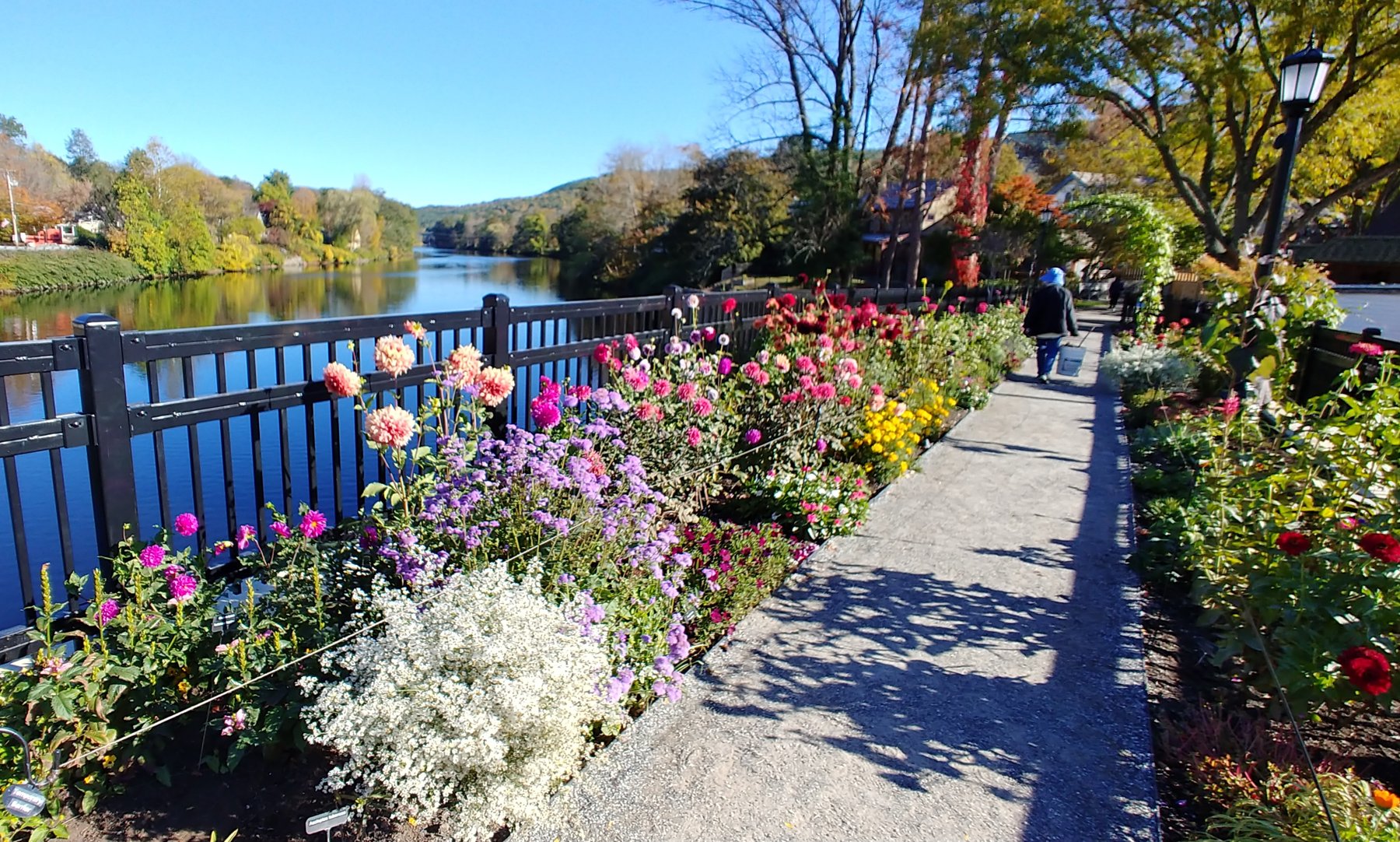 Bridge of Flowers