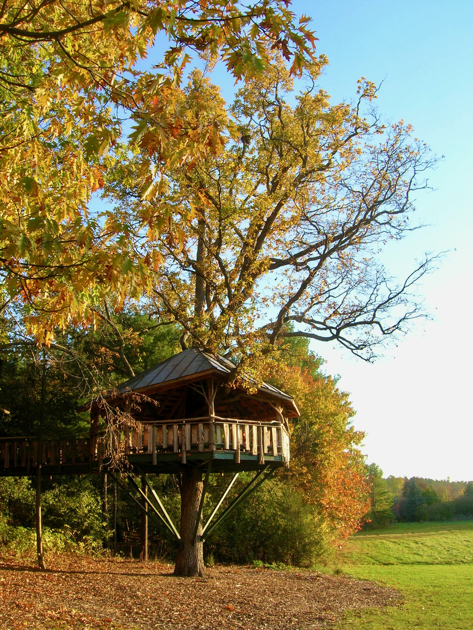 Oakledge Park